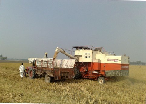 Комбайн, разгружающий зерно (фото)